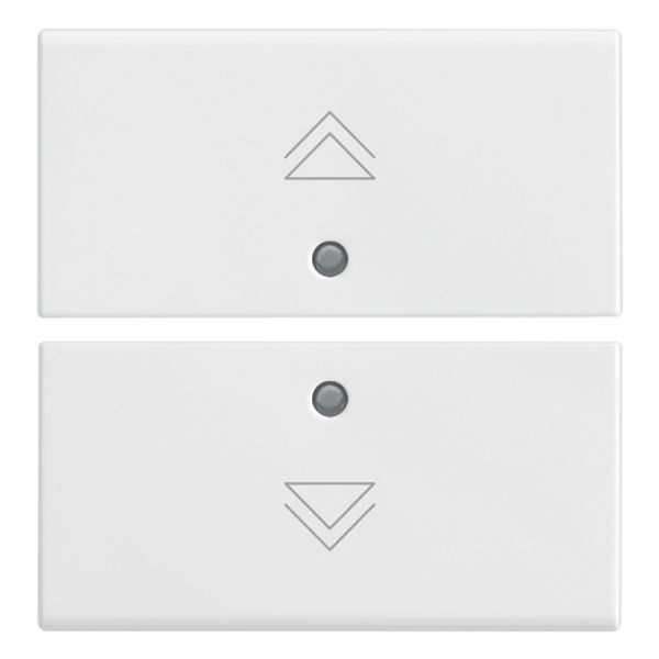 Two half-buttons 2M regul.symbol white image 1