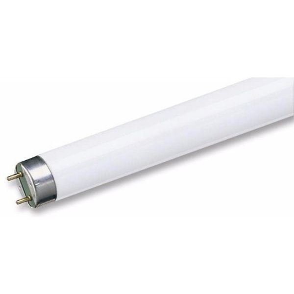 Fluorescent Tube 36W/855 120cm T8 image 1