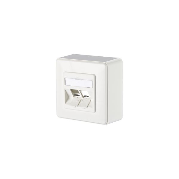 Modul wall outlet surface mounted 2 port unequipped pure white image 1