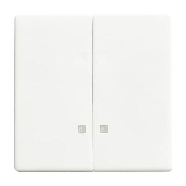 1785 K-884 CoverPlates (partly incl. Insert) future®, Busch-axcent®, carat® studio white matt image 3