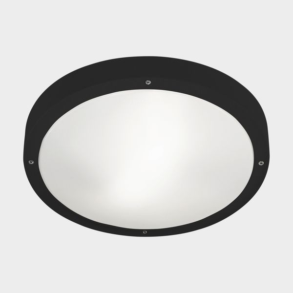 Ceiling fixture IP66 BASIC E27 E27 15;15W Black image 1