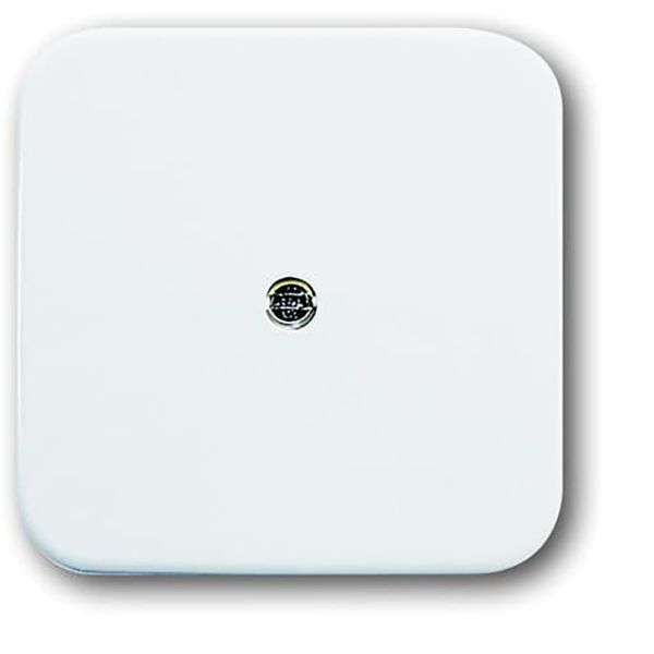 2536-214 CoverPlates (partly incl. Insert) carat® Alpine white image 1