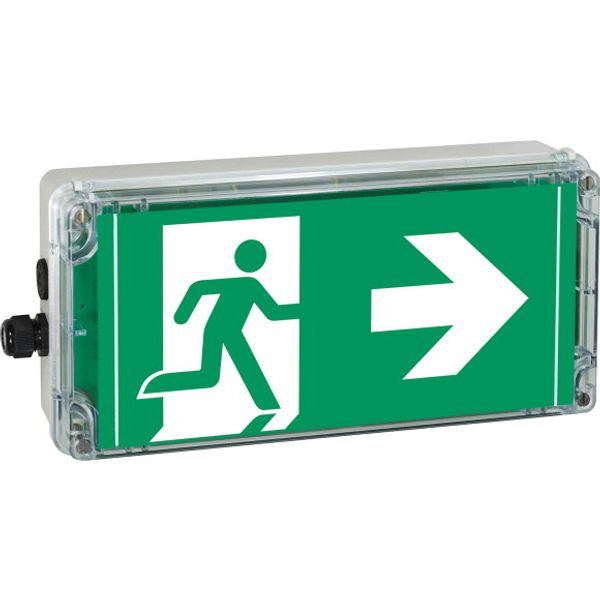 Ex-escape sign luminaires EXIT 2 V-CG-S for zone 2/22, Pictogram: DIN ISO 7010, Arrow: 6 Clock image 1