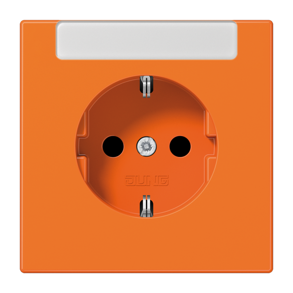 SCHUKO® socket with inscription plate LS1520INAO image 1