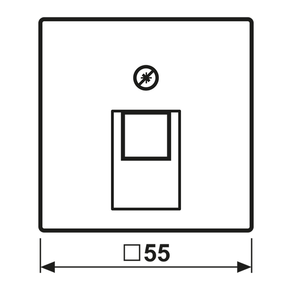 Plate f. 1-gang modular jack socket A569-1BFPLUAANM image 4