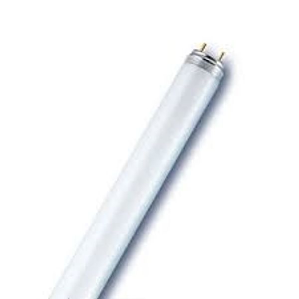 T8 36W/830 G13, Warmwhite 3000K, Fluorescent Lamp image 1