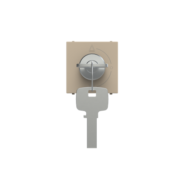 N2253.1 CV Key switch Champagne - Zenit image 1