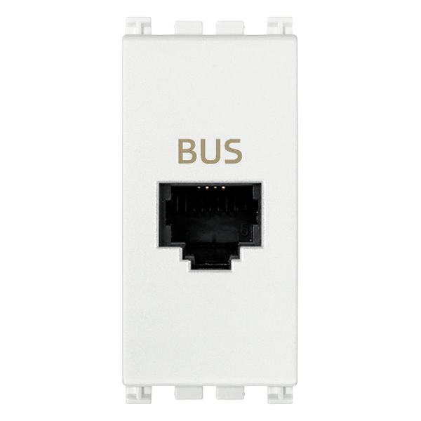 BUS RJ11phone jack white image 1