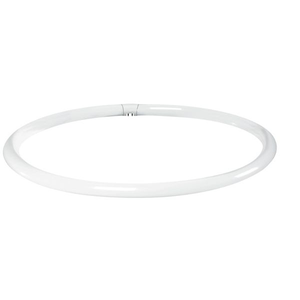 Fluorescent Lamp T9 Ring, Ø 30 mm, 40W, G10q, 2700 K, Warm Tone, Opal image 1