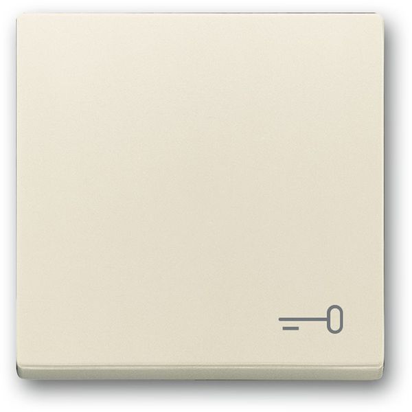 2520 TR-82 CoverPlates (partly incl. Insert) future®, solo®; carat®; Busch-dynasty® ivory white image 1