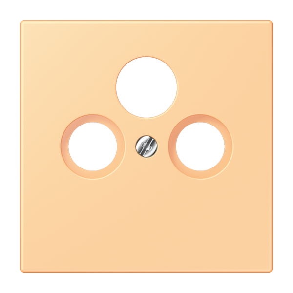 Centre plate for SAT-TV-FM LC4320P LC990SAT258 image 1