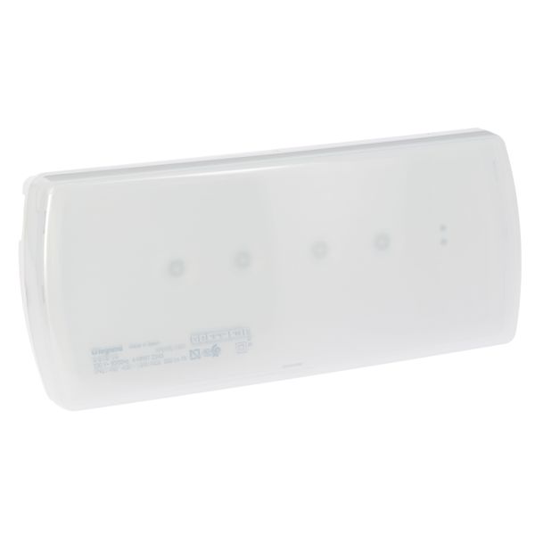 Emergency luminaire U21 - std non maintained - 1 h - 350 lm - LED image 1