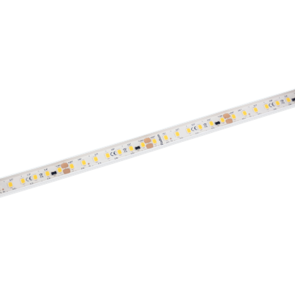 LED Star Strip 1500 Waterproof, LED STRIP 1500 S 865/24V/IP67 5M image 2