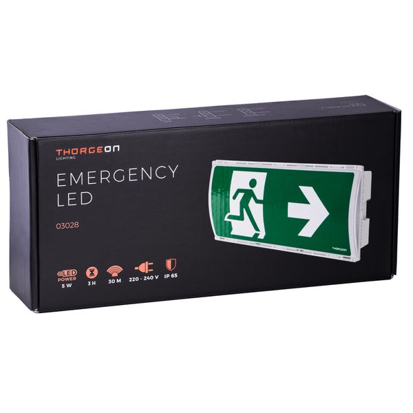 Emergency LED 3H 5W 6000K 100Lm 30m IP65 IK08 white THORGEON image 1