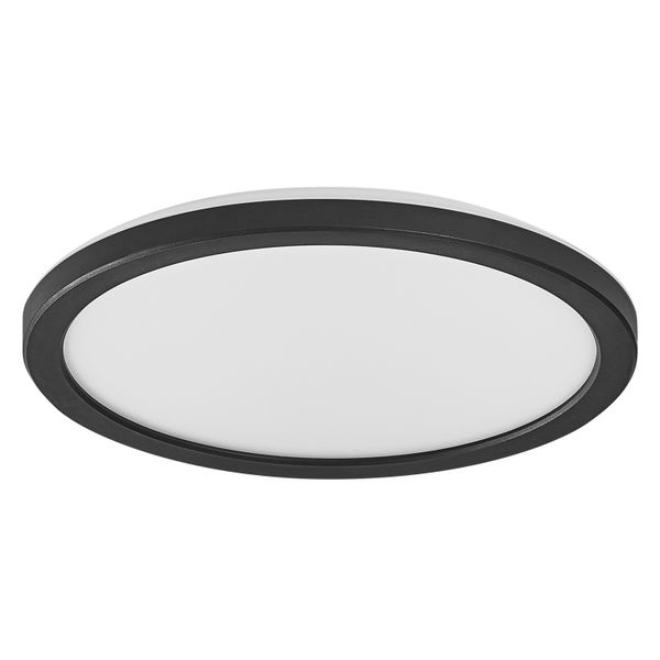 Smart+ Orbis Ceiling Black 235mm RGB + TW image 5