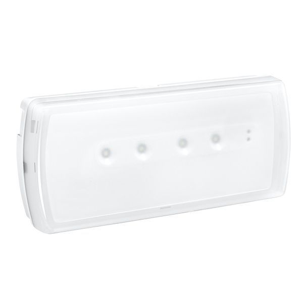 Emergency luminaire U21-autotest/address maintained/non maintained-200 lm-1h-LED image 1