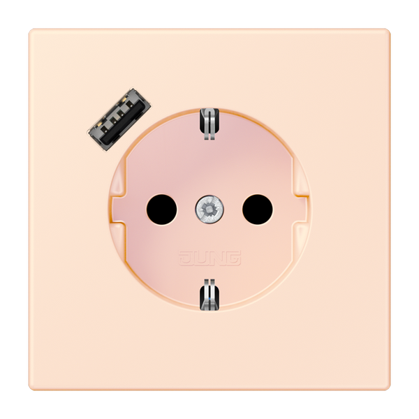 SCHUKO socket with USB charger LC32082 LC1520-18A226 image 1