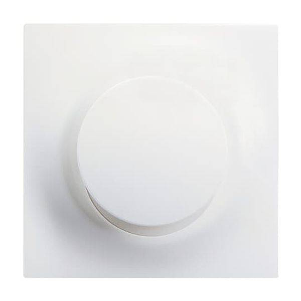 6545-774 CoverPlates (partly incl. Insert) carat® studio white matt image 8