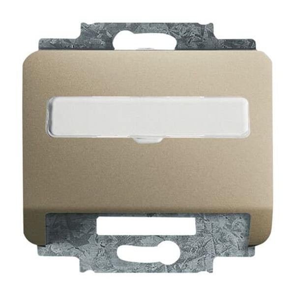 1743-266 CoverPlates (partly incl. Insert) carat® titanium image 3