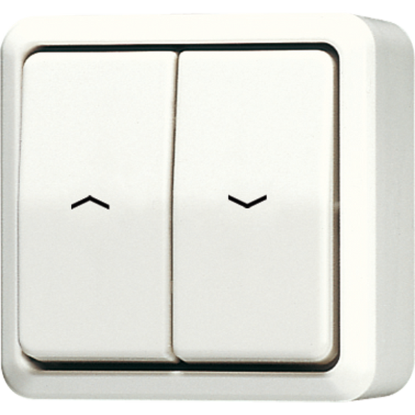 2-gang blind switch/push-button 10 AX 639VA image 1