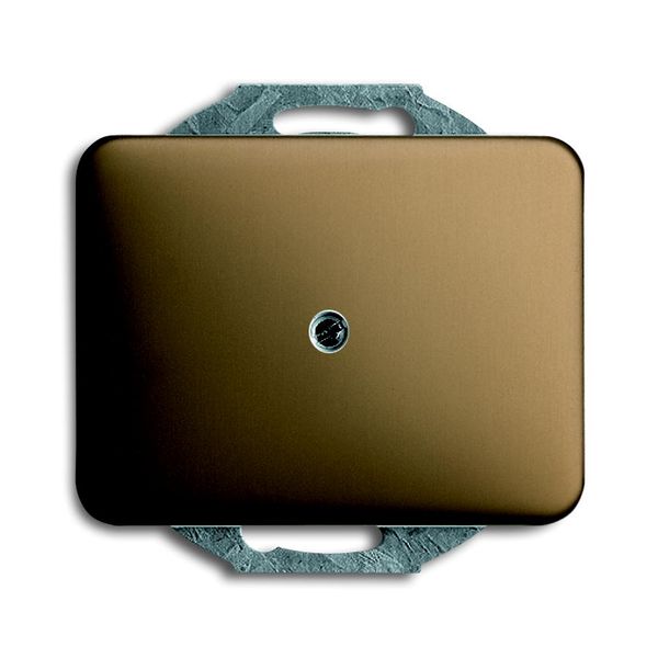 1749-21 CoverPlates (partly incl. Insert) carat® bronze image 1