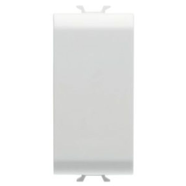 BLANKING MODULE - 1 MODULE - SATIN WHITE - CHORUSMART image 1