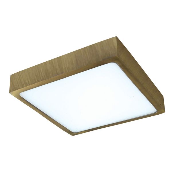 Kaju Surface Mounted LED Downlight SQ 30W Brass image 1