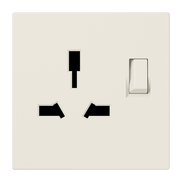 Combo switched socket insert LS4171GISW image 2