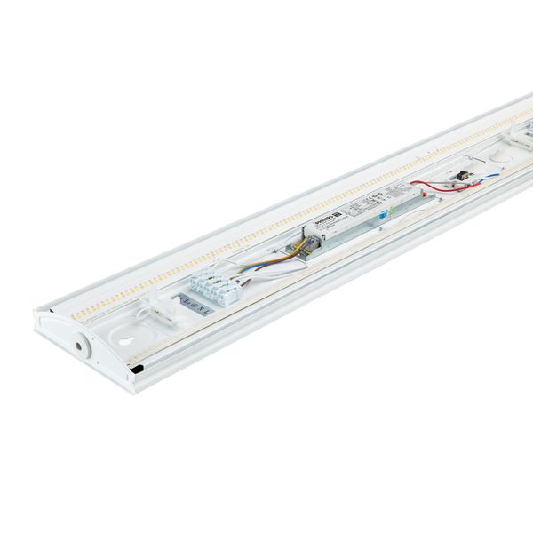 CoreLine Fastset, surface-mounted, All-in, 34.5 W, 20.5 W, L1160 mm, 3000 lm, 4800 lm, 3000 K, 4000 K, EL-DC image 15