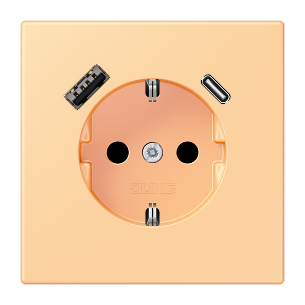 SCHUKO socket with USB charger LC4320P LC1520-15CA258 image 1