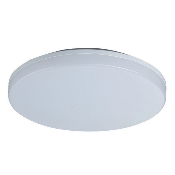 Dalia LED Flush Light 24W IP54 4000K 2500Lm Round image 2