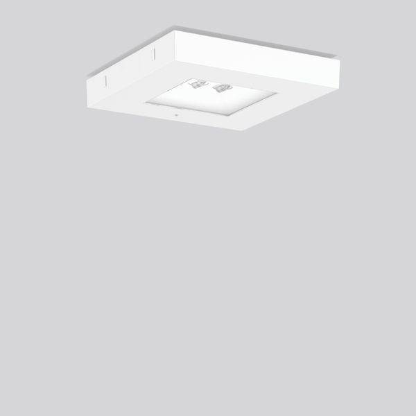 CENTRYXX IP65, 6,5 W, 470 lm, 765, white, on/off Ceiling luminaires, L image 2