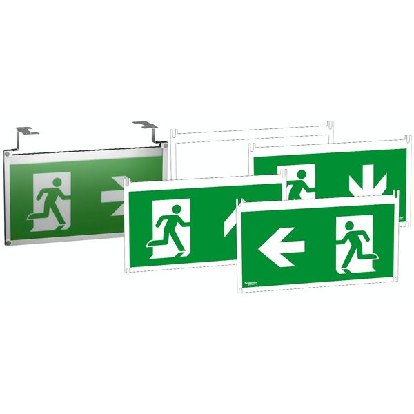 Exiway Smartled - 30m - ISO pictograms for Vetrosignal - 5 pictos image 3