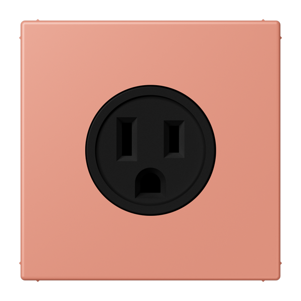 Socket US NEMA system LC32111 LC521-15233 image 1