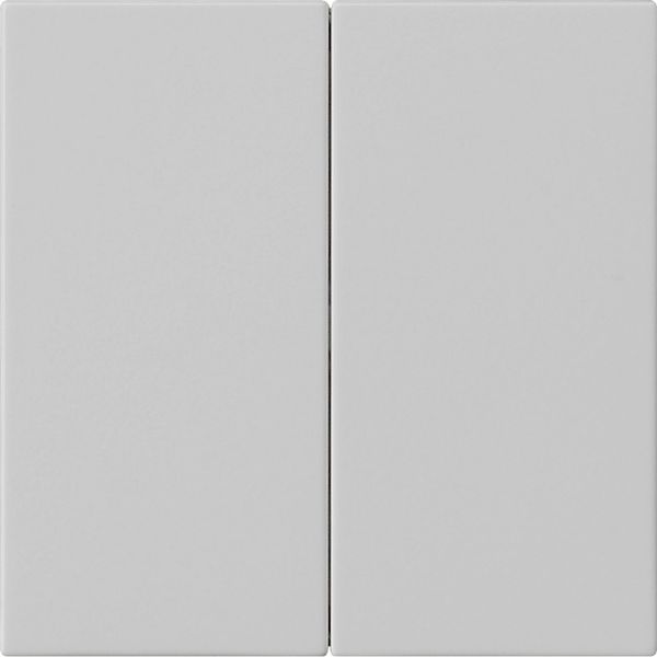 rocker 2-g blank System 55 grey m image 1