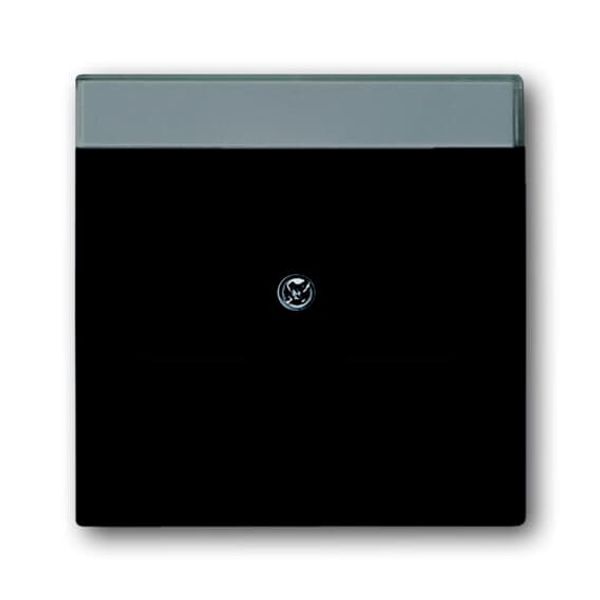 1800-885 CoverPlates (partly incl. Insert) future®, Busch-axcent®, carat® black matt image 2