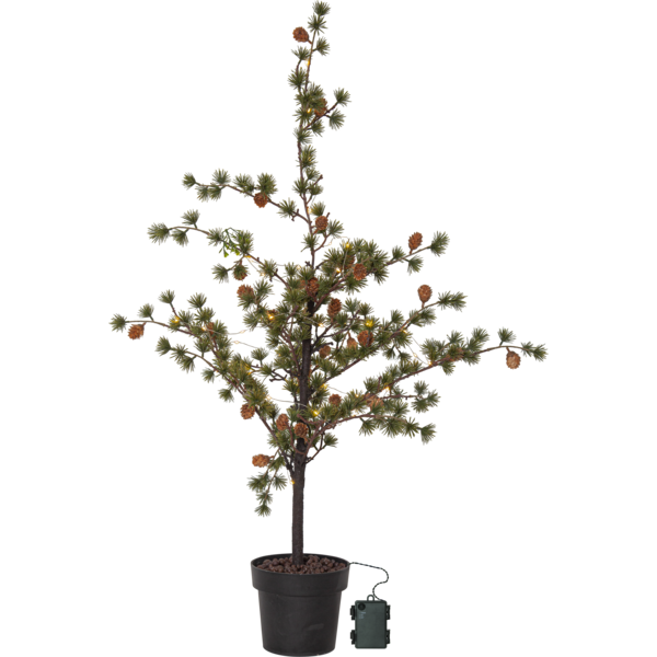 Decorative Tree Larix image 1