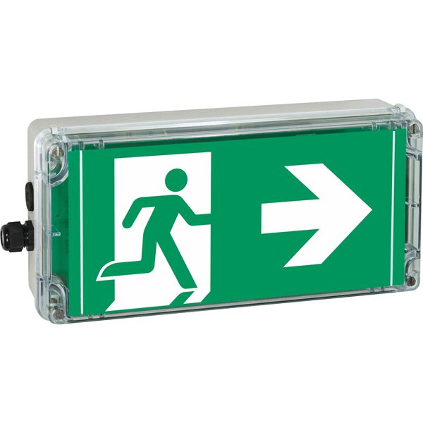 Ex-escape sign luminaires EXIT 2 V-CG-S for zone 2/22, Pictogram: DIN ISO 7010, Arrow: 6 Clock image 6