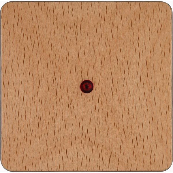 HK02 - rocker pad with lens - colour: be image 1