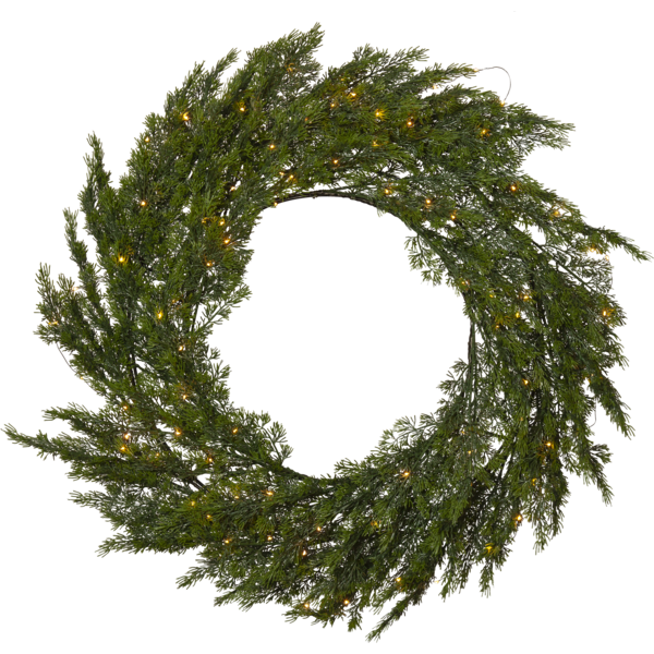 Wreath Thuja image 1