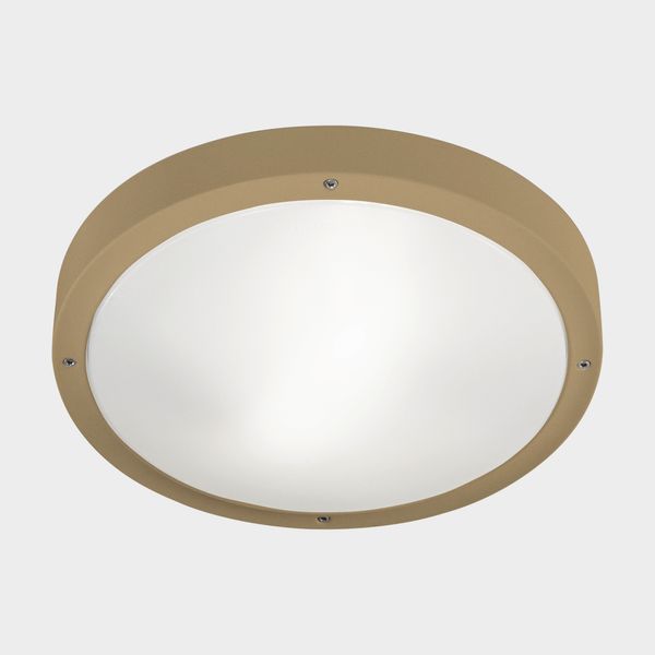 Ceiling fixture IP66 BASIC LED 21.4W 2700K Black 2606lm image 1