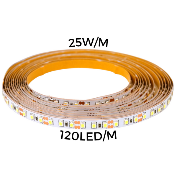 LED strip 25W/m 120led/m 24V IP20 3000K 2408Lum/m 60'000h CRI>90 5m) THORGEON image 1