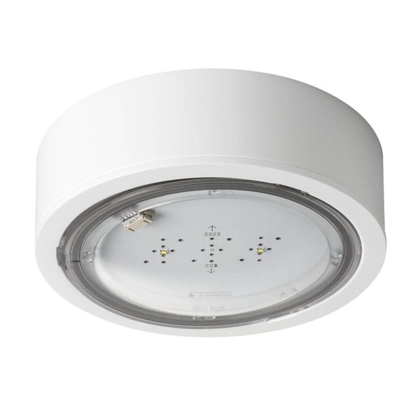 iTECH M5 105 M ST W Emergency lighting LED image 1