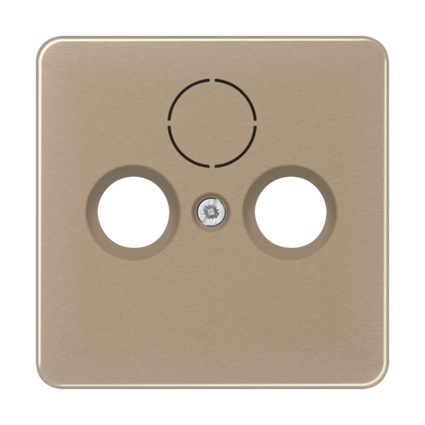 Center plate for TV-FM-SAT sockets CD561SATGB image 2