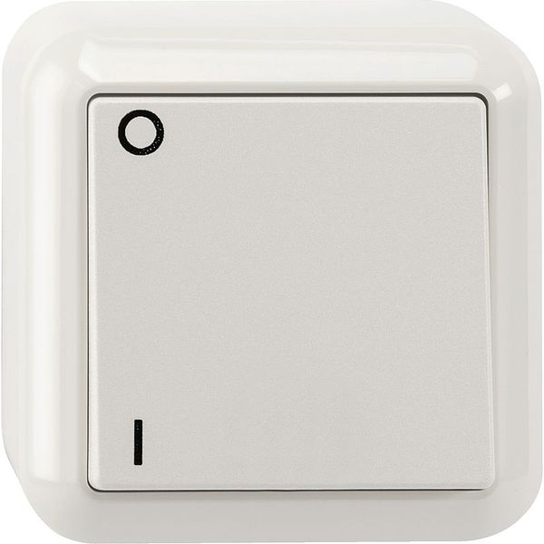 Off switch, 2-pole, polar white, surface-mounted image 1