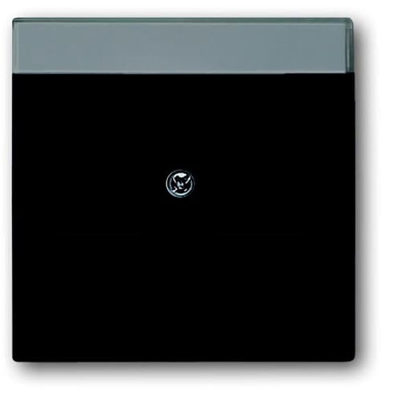 1800-885 CoverPlates (partly incl. Insert) future®, Busch-axcent®, carat® black matt image 1