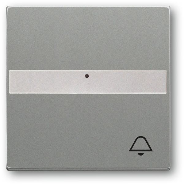 1764 NLI/KI-803 CoverPlates (partly incl. Insert) Busch-axcent®, solo® grey metallic image 1