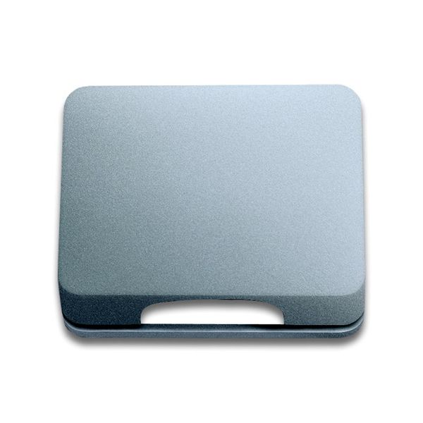 1746-266-101 CoverPlates (partly incl. Insert) carat® titanium image 1