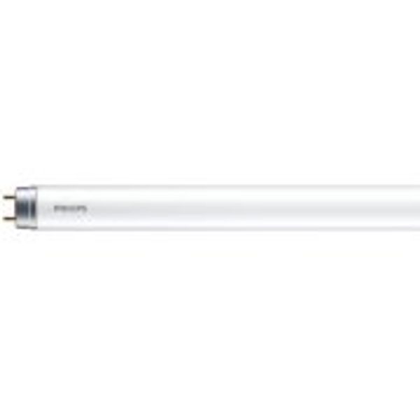 LED T8 1200mm 16W G13 CW 1CT/4 image 1