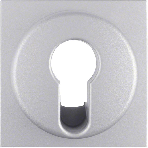 Centre plate for key switch/key push-button, B.7, al., matt, lacq. image 1